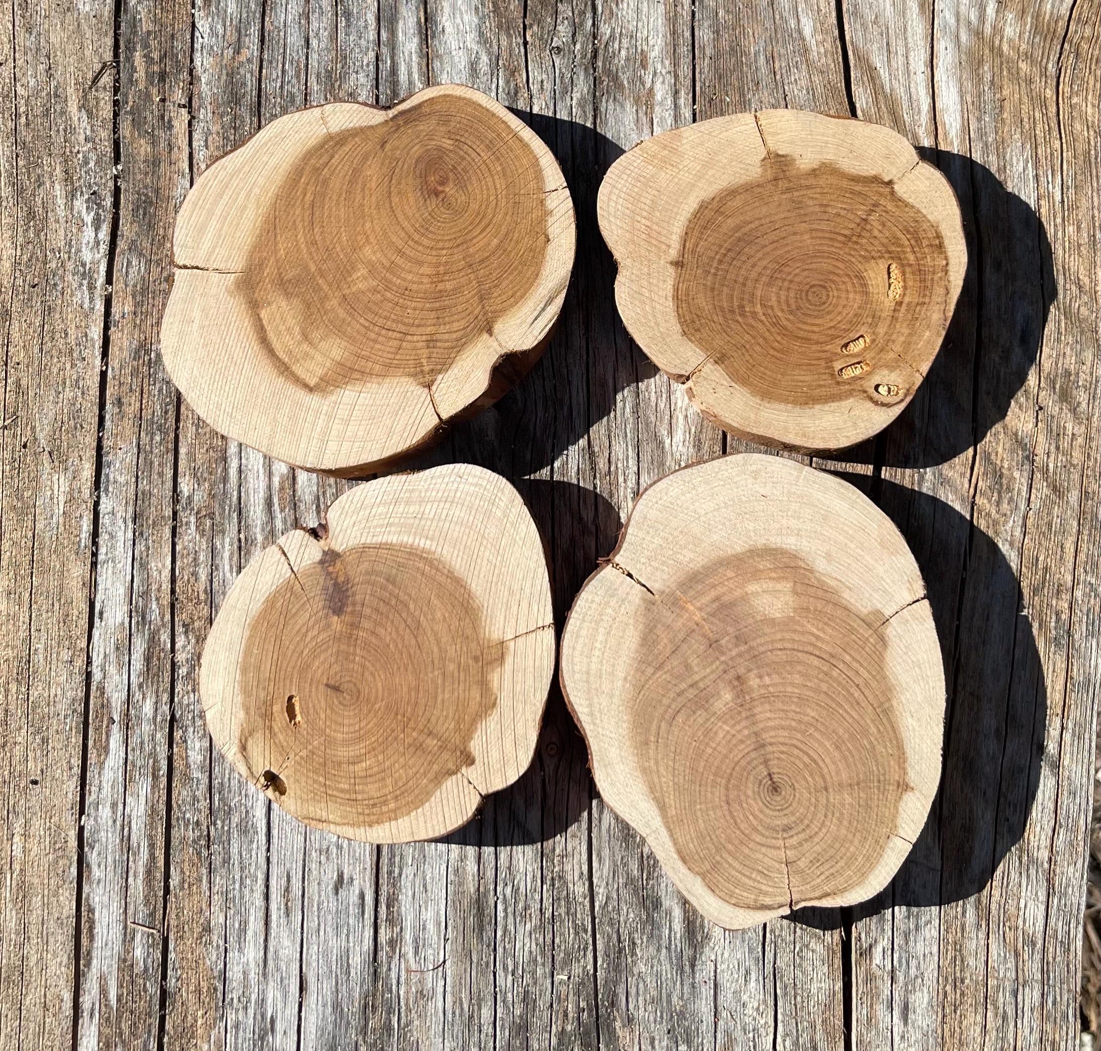 Maple Ridge Cedar Rounds Cedar Rounds | Debarked Cedar Slices | Wooden Cookie Rounds | Wood ...