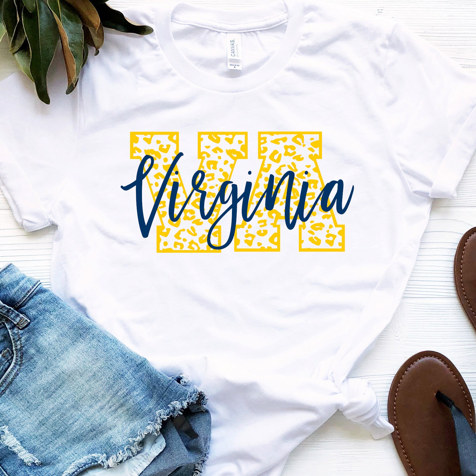 Virginia Shirt, Adult Size Tee, Men, Women, Teen, College Football Shirt