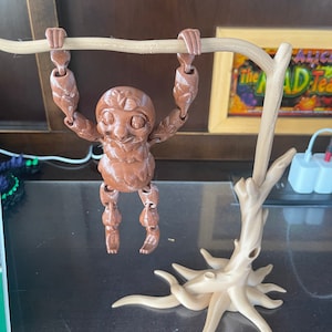 Hanging sloth