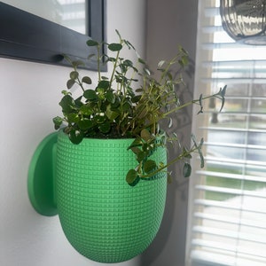 Wandbehang Pflanzgefäße