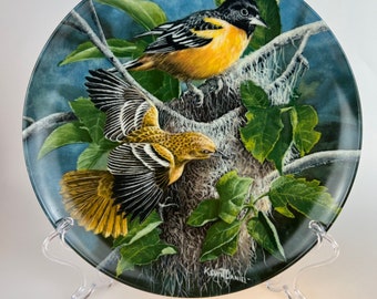 Baltimore Oriole Porcelain Plate | Encyclopedia Britannica, Kevin Daniel Art