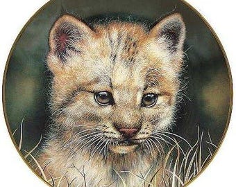 Plato de cachorro de lince - Plato coleccionable de grandes felinos - Galería Princeton / / EJS ART