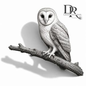 May include: A black and white illustration of a barn owl perched on a textured tree branch. The owl has detailed feathers and a heart-shaped facial disc. The text DR LASER DESIGNS is visible in the upper right corner of the image.
