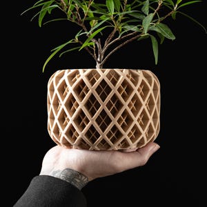 Selbstbewässernder 3D-gedruckter Blumentopf, moderne Wohndeko, Geschenkidee