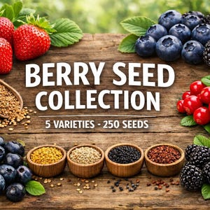 Colección de 250 semillas de frutos del bosque / Arándano azul, arándano rojo, arándano silvestre, fresa silvestre y mora / Plantas comestibles resistentes