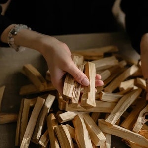 Palo Santo sticks premium quality very oily and fragrant sustainably harvested in Peru image 4