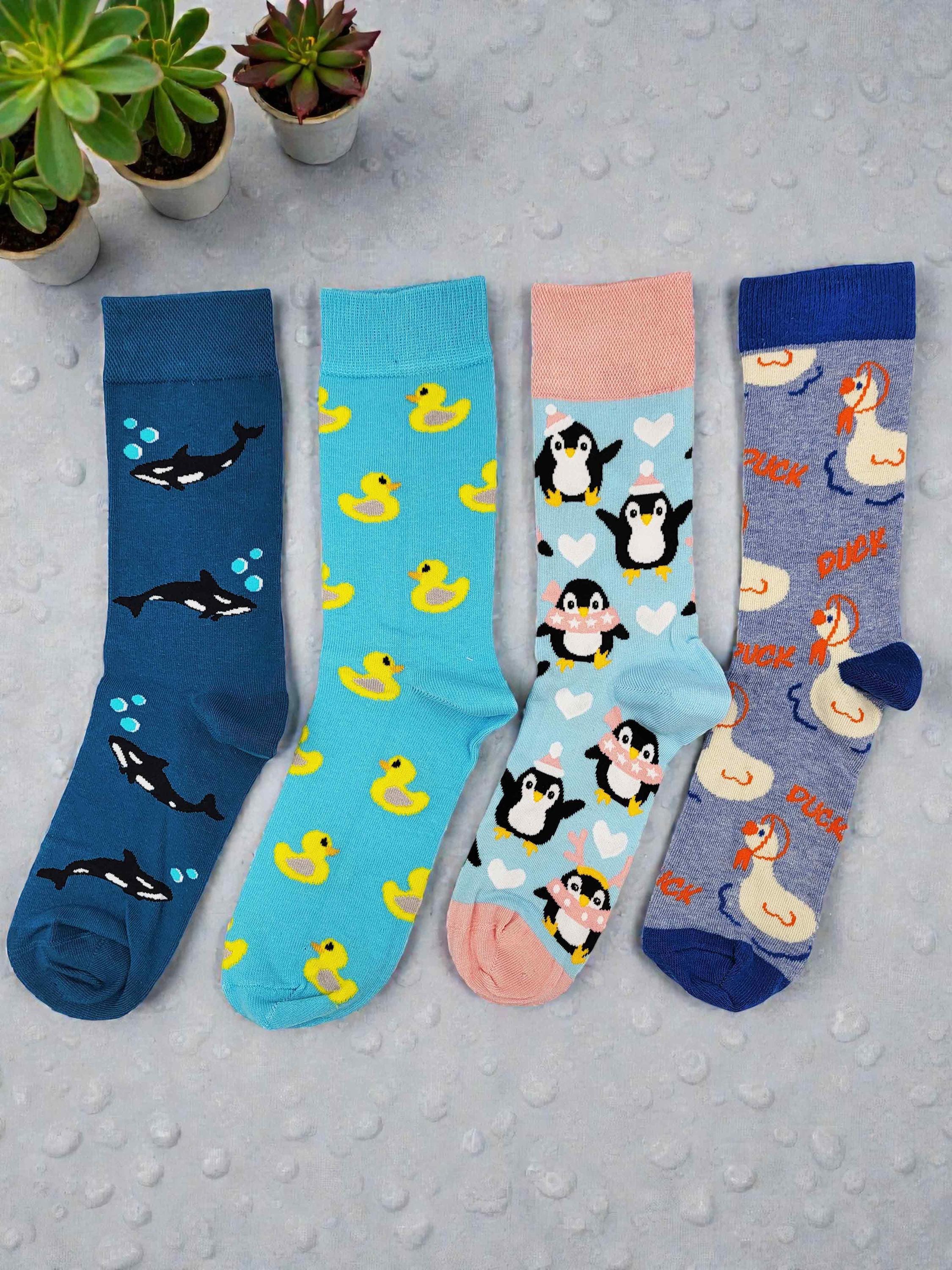 Animal Pattern Cotton Socks Set, Penguin Duck Orca Design, Pack of 4