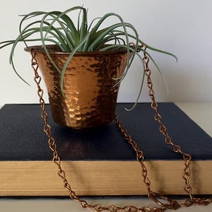 May include: A hammered copper-coloured metal planter with a tapered shape, containing a green air plant with thin, arching leaves. The planter is attached to a long, thin copper-coloured metal chain with heart-shaped links that drapes downwards.