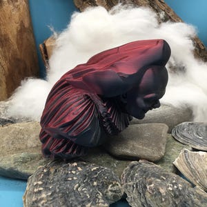 May include: A burgundy and black bust sculpture of a person wearing a ruffled collar and hat. The sculpture is resting on a bed of rocks and seashells, with a backdrop of wood and cotton. The bust is a decorative art piece.