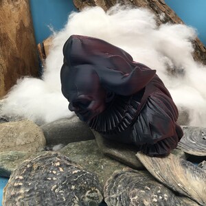 May include: A dark burgundy and black sculpture of a figure with a ruffled collar and a large hat. The sculpture is resting on a bed of gray stones and oyster shells, with a backdrop of white fluff and wood.