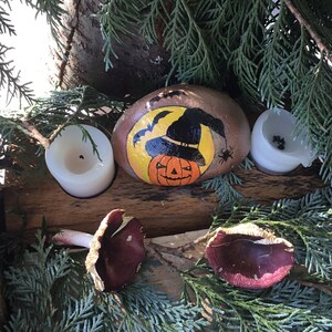 May include: A painted rock with a yellow background and a black witch's hat over a jack-o'-lantern. The rock is surrounded by green foliage and two brown mushrooms.