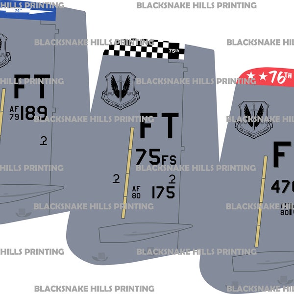 A-10 Tail Flash Vector Image Files - Moody AFB, Georgia (.ai, .pdf, .eps, & .svg Formaten) en High Res Rasters (.jpg en .png)