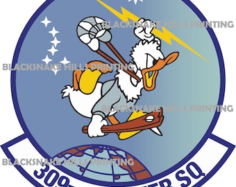 309th Fighter Squadron Etsy
