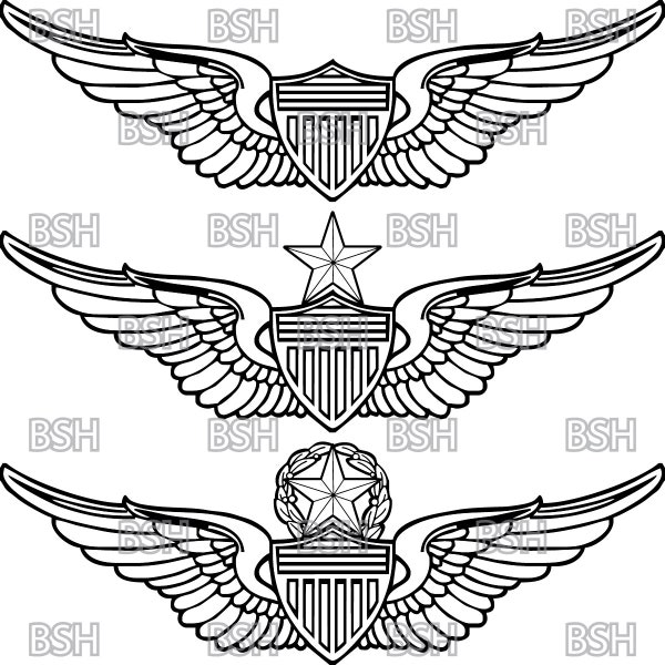 US Army Aviator Wings Vector Image Files (.ai, .pdf, .eps, & .svg Formats) plus High Res Rasters (.jpg and .png)