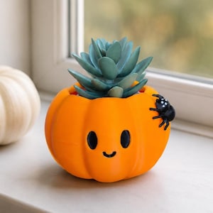 Può includere: Un vaso arancione a forma di zucca con un semplice volto nero composto da due occhi ovali e una piccola bocca curva. Un piccolo ragno nero con macchie bianche è attaccato al lato della zucca, che contiene una pianta succulenta verde.