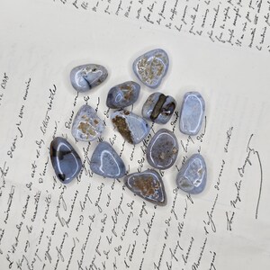 Puede incluir: Un conjunto de piedras de &aacute;gata de encaje azul pulidas, de forma ovalada, con inclusiones marrones y blancas. Las piedras est&aacute;n dispuestas sobre un documento manuscrito vintage, con follaje verde en el fondo.