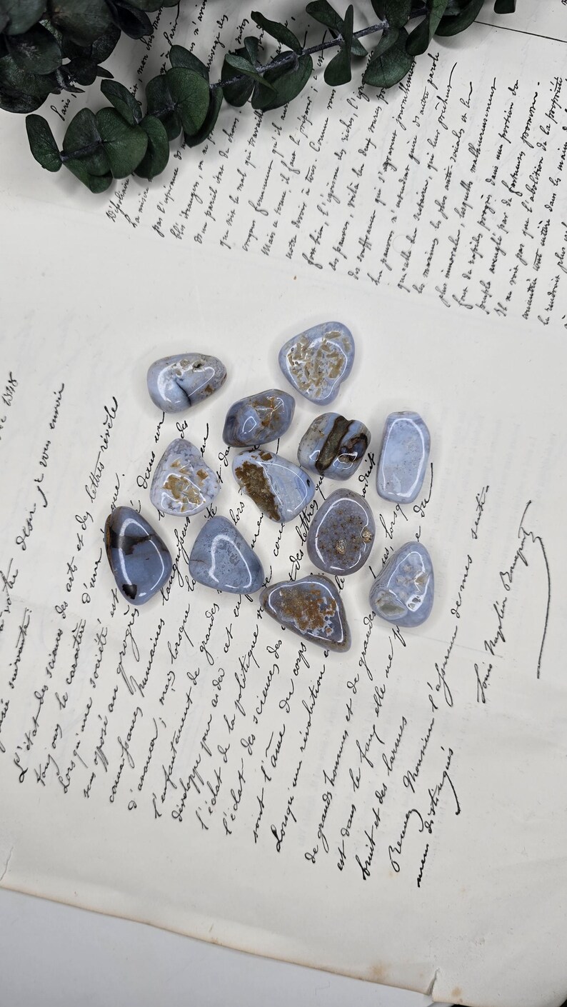 Puede incluir: Un conjunto de piedras de &aacute;gata de encaje azul pulidas, de forma ovalada, con inclusiones marrones y blancas. Las piedras est&aacute;n dispuestas sobre un documento manuscrito vintage, con follaje verde en el fondo.