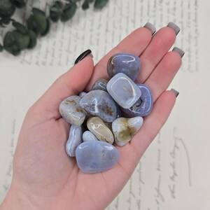 Puede incluir: Un pu&ntilde;ado de piedras pulidas de &aacute;gata de encaje azul. Las piedras var&iacute;an en tama&ntilde;o y forma, con una mezcla de colores azul claro, blanco y beige. El fondo incluye papel vintage con escritura y follaje verde.