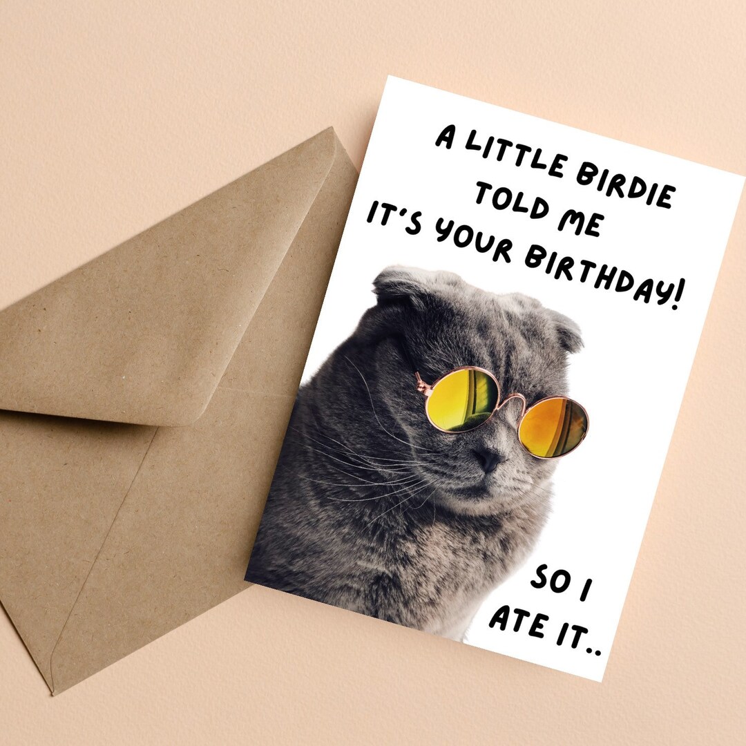 Funny Birthday Cat Greeting Card | Gifts for Her | Gifts for Him ...