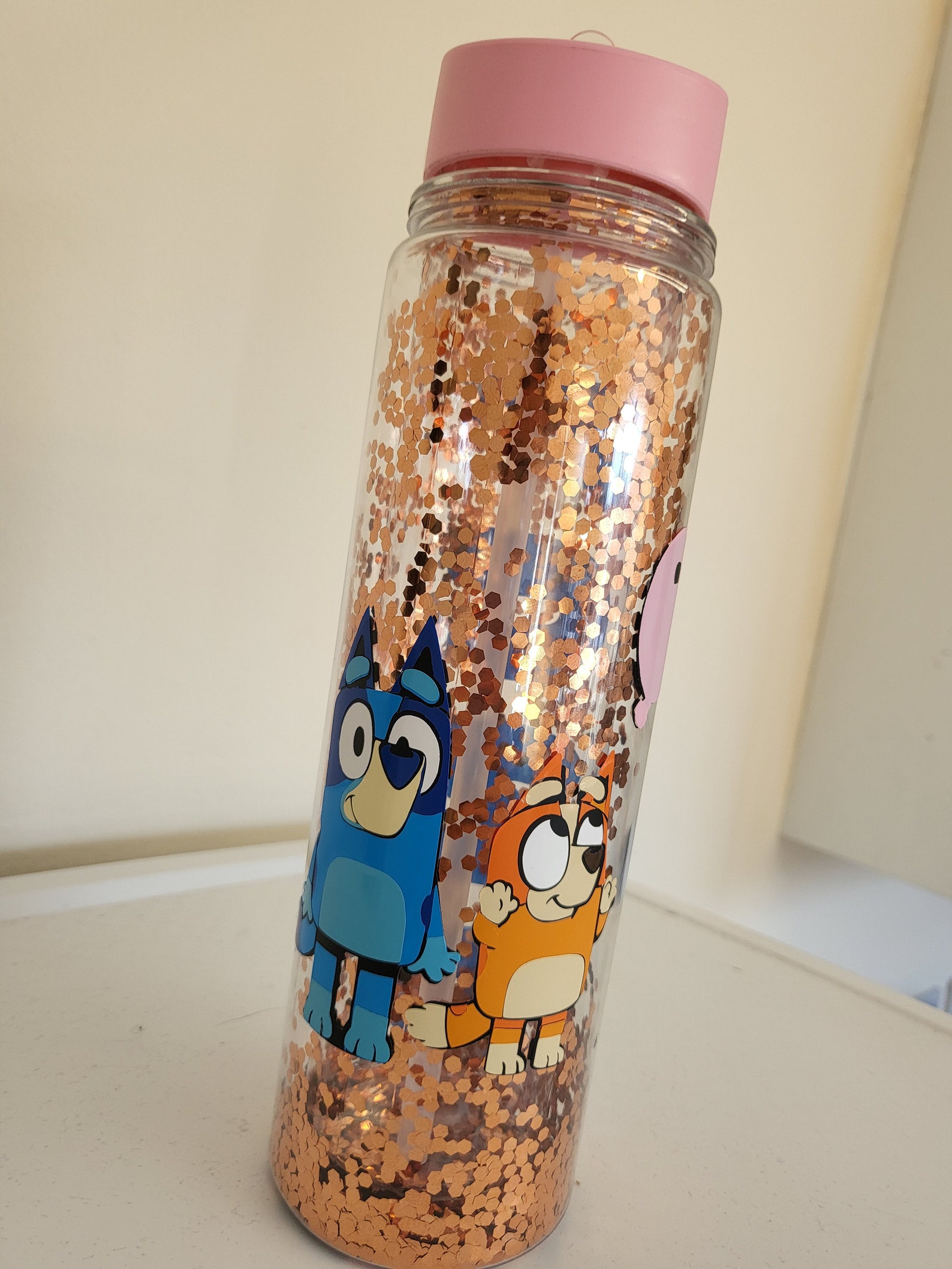 Personalised Bluey Water Bottle Bluey and Bingo Water Bottle Etsy
