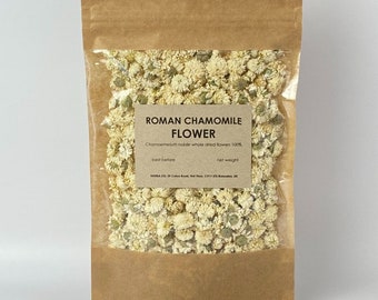 Roman chamomile flower | Chamaemelum nobile | natural herbal tea rumian