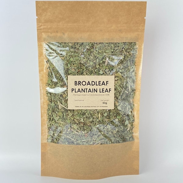 Broadleaf plantain leaf | Plantago major | dried leaves herb herbal tea babka