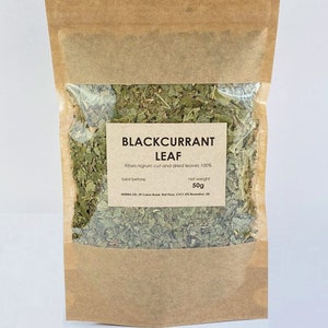 Blackcurrant leaf | Ribes nigrum | natural herbal tea porzeczka lisc