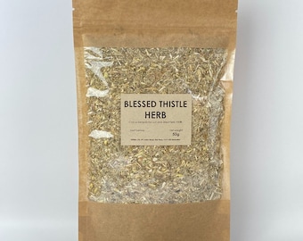 Blessed thistle herb | Cnicus benedictus | 100% natural herbal tea drapacz
