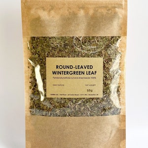 Round-leaved wintergreen leaf Pyrola rotundifolia herbal tea gruszyczka image 1