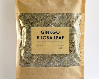 Ginkgo biloba leaf | natural herbal tea brain booster maidenhair tree