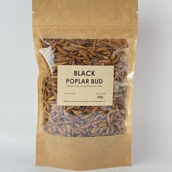 Black poplar dried buds | Populus nigra | 100% natural balm of gilead