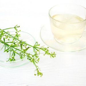 Cleavers Herb | Galium Aparine | 100% Natural Herbal Tea Przytulia ...