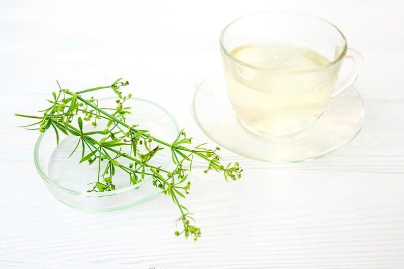 Cleavers Herb | Galium Aparine | 100% Natural Herbal Tea Przytulia ...
