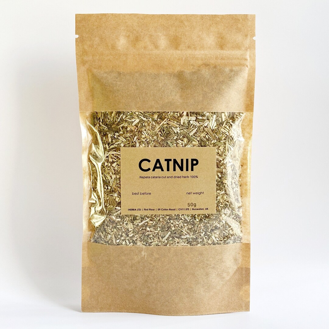 Catnip Herb Nepeta Cataria 100% Natural Herbal Tea Leaves Kocimietka - Etsy