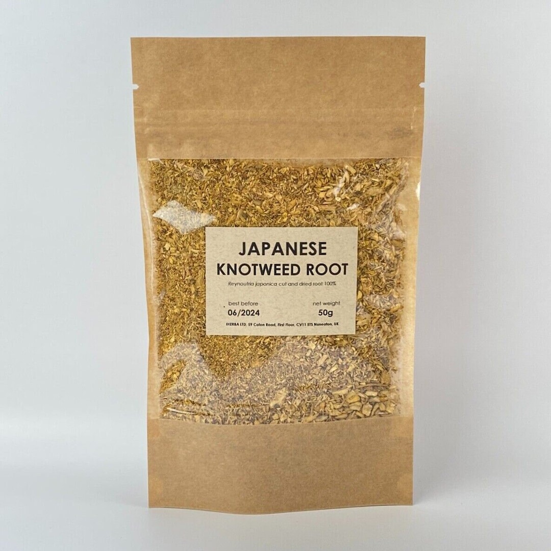 Japanese Knotweed Root Reynoutria Japonica Natural Herbal Tea Fallopia
