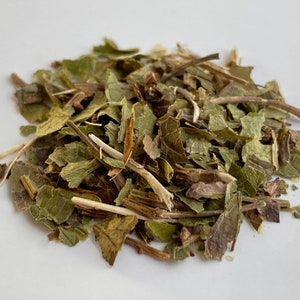 Round-leaved wintergreen leaf Pyrola rotundifolia herbal tea gruszyczka image 2