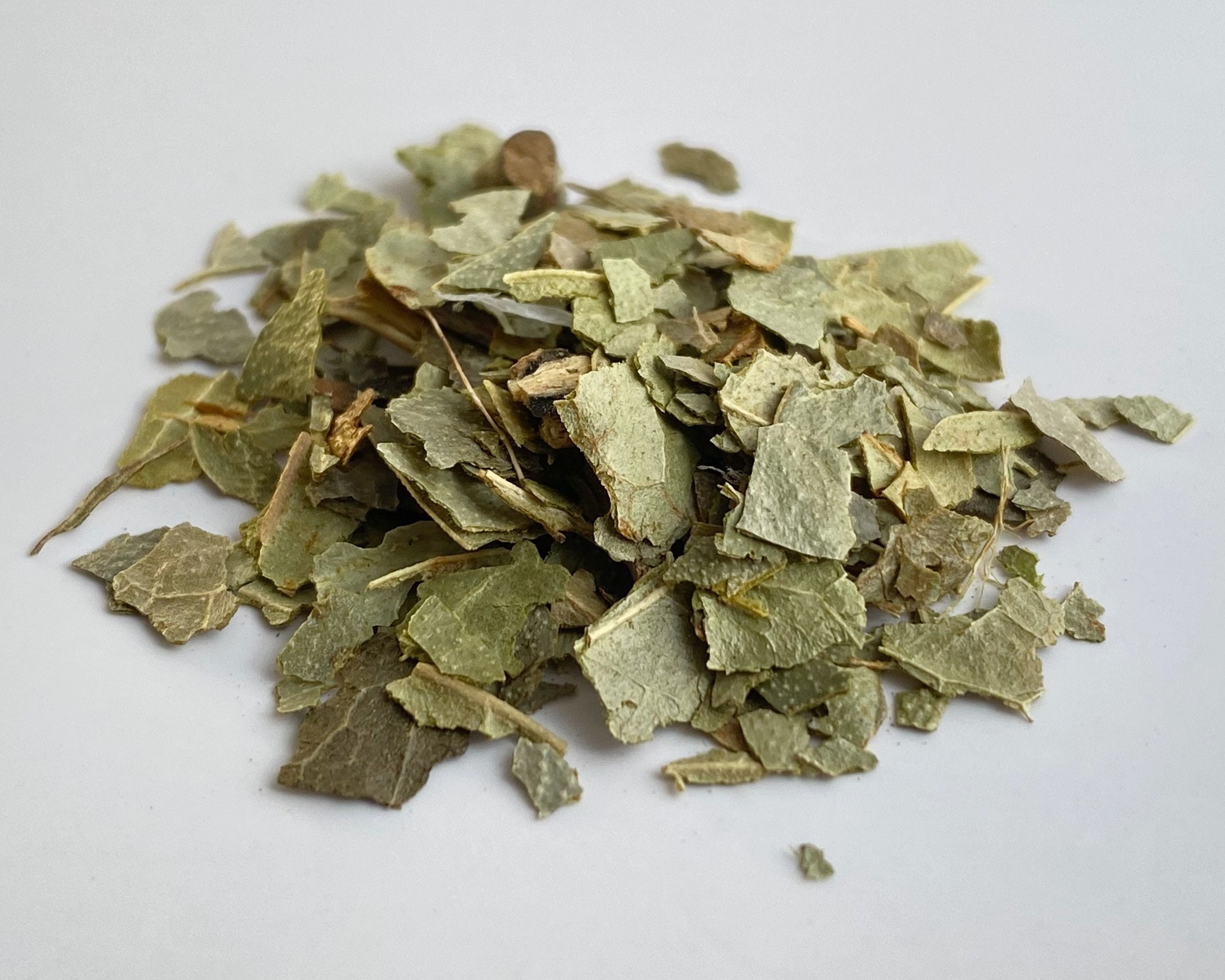 Boldo Leaf | Natural Herbal Tea | Peumus Boldus | Dried Loose Leaf Tea ...