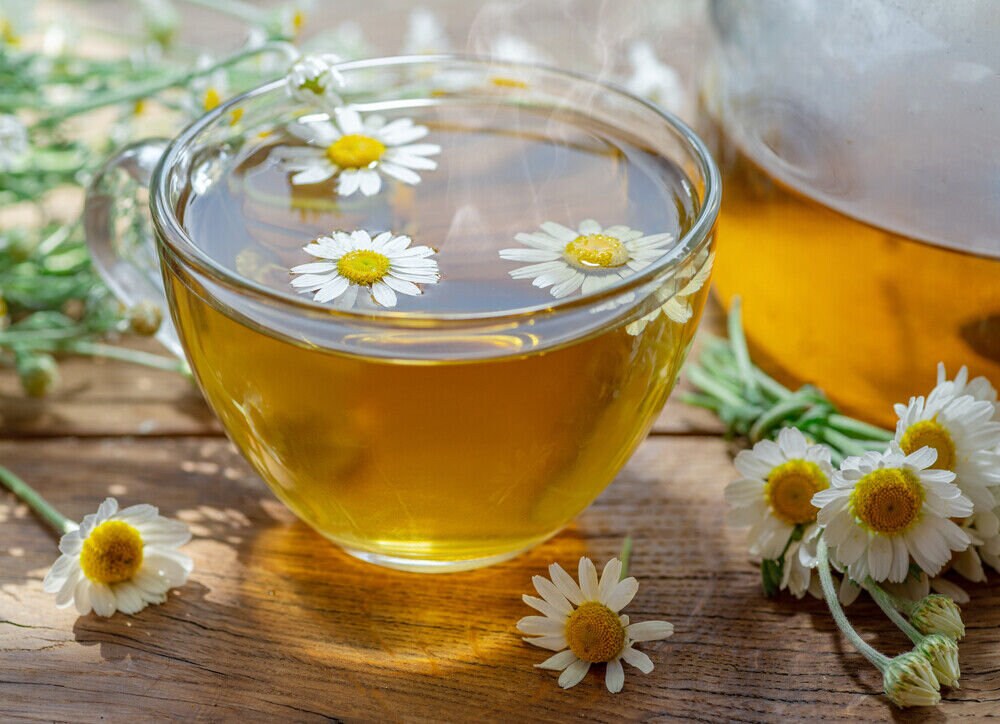 Chamomile Flower | Matricaria Chamomilla | Natural Herbal Tea Rumianek ...