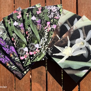 Botanische Kunst Karte Bundle