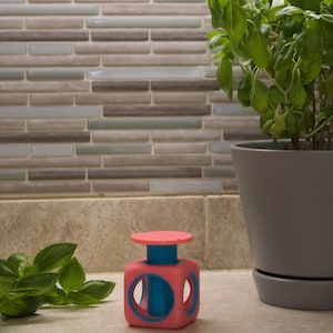 May include: A pink and blue toy with a round top and a hole in the centre. The toy is sitting on a counter next to a potted plant.
