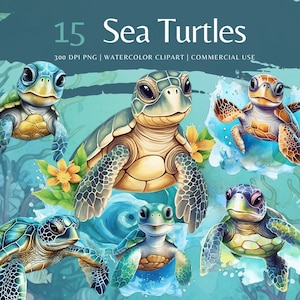 Meeresschildkröten Aquarell Clip Art Bundle | Meerestiere Clipart png | Sea Life, Sofort Download Bilder | Kommerzielle Nutzung