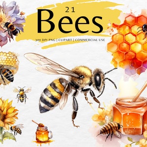Bijen aquarel clip art bundel | PNG honingbij op zonnebloem, honingraat, bijenkorf | Afbeeldingen direct downloaden | Commercieel gebruik
