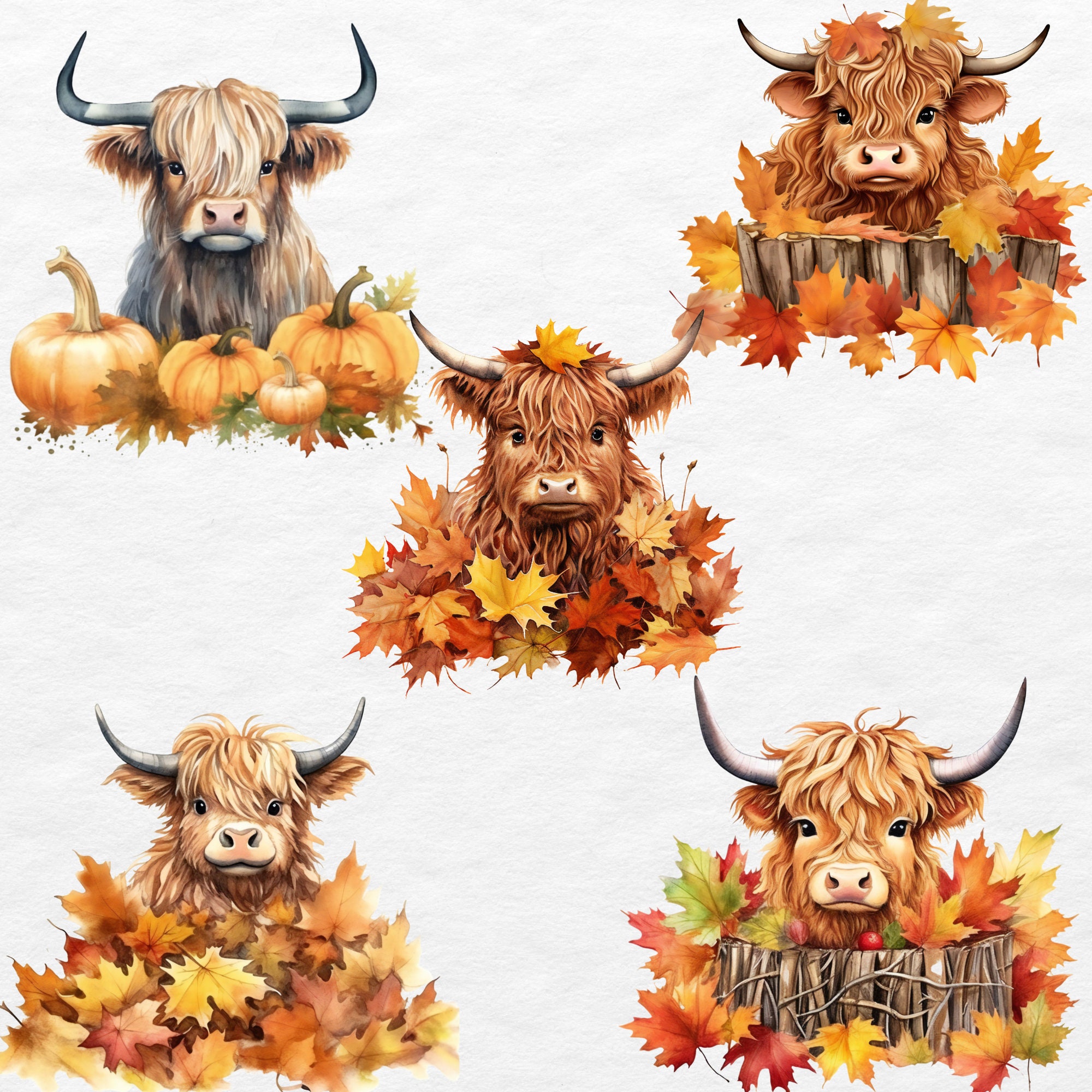 Fall Highland Cow Png Clipart Bundle Cute Baby Highland Cow - Etsy Canada
