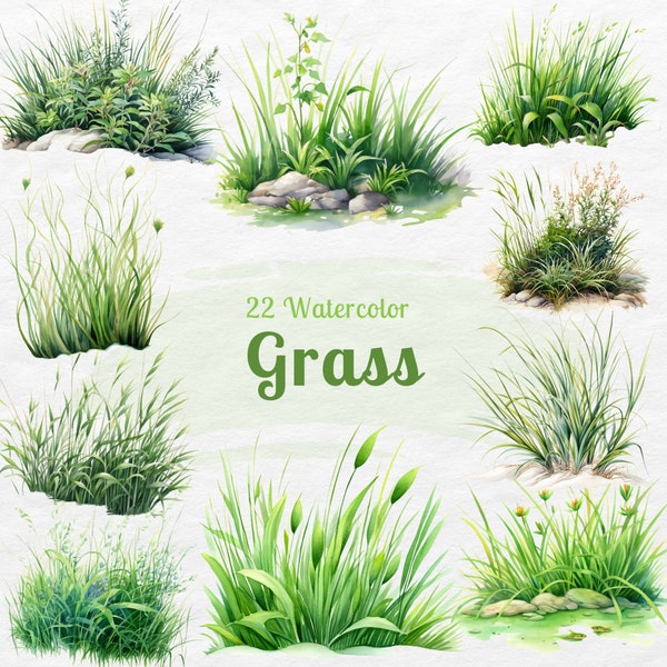 Grass PNG Watercolor clipart | spring png, Greenery foliage, Commercial use, green grass png, wild grass clipart