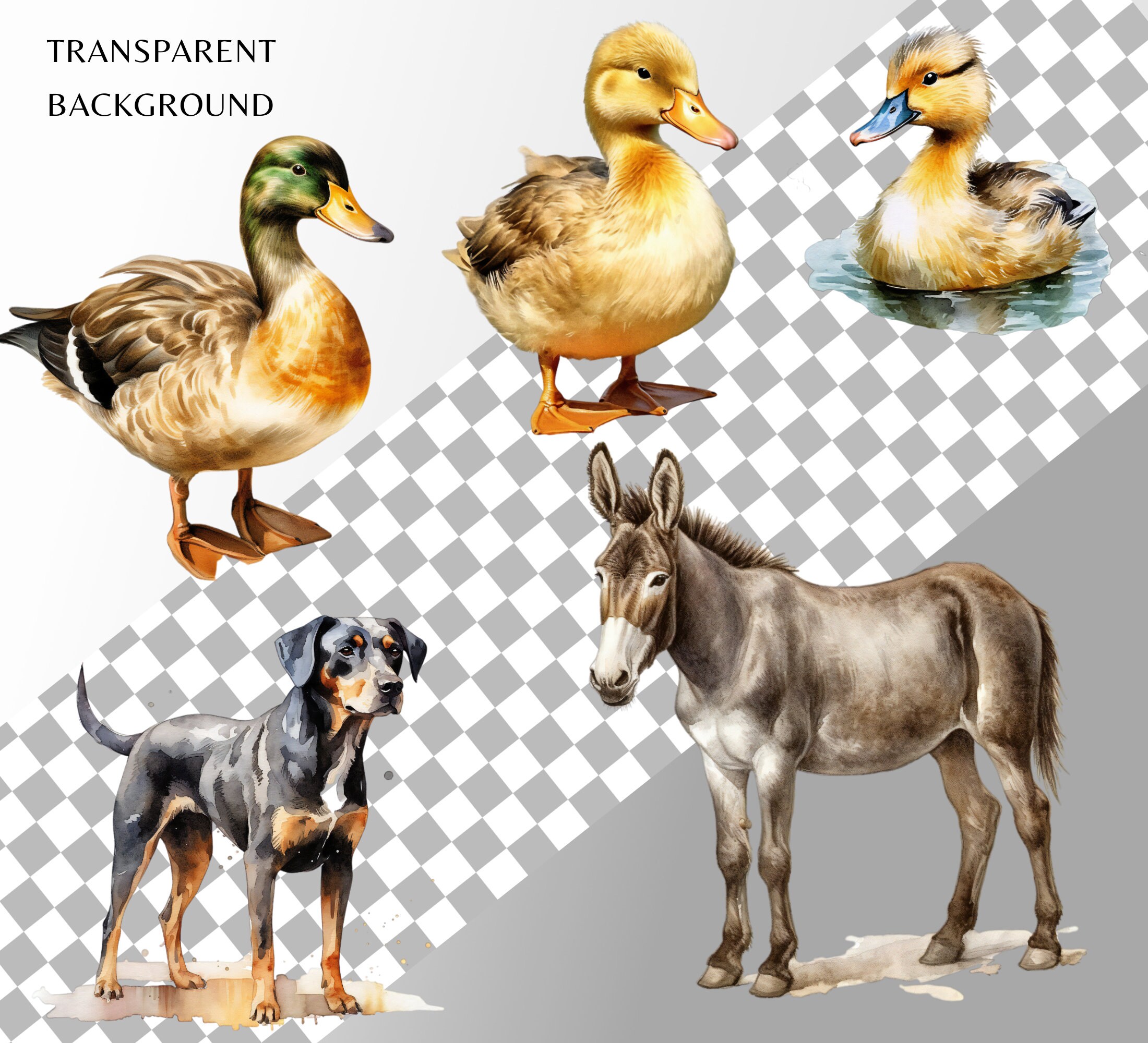 Watercolor Farm Animals Clipart Bundle: Barnyard PNG Images (commercial ...