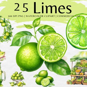 May include: A watercolour illustration of 25 limes, including whole limes, lime slices, and limes in a wreath. The limes are green and have a glossy finish. The illustration also includes a lime pie, a glass of limeade, and a lime stall with limes for sale. The text "25 Limes" is written in black at the top of the image. The text "300 DPI PNG | WATERCOLOUR CLIPART | COMMERCIAL USE" is written in black below the title.