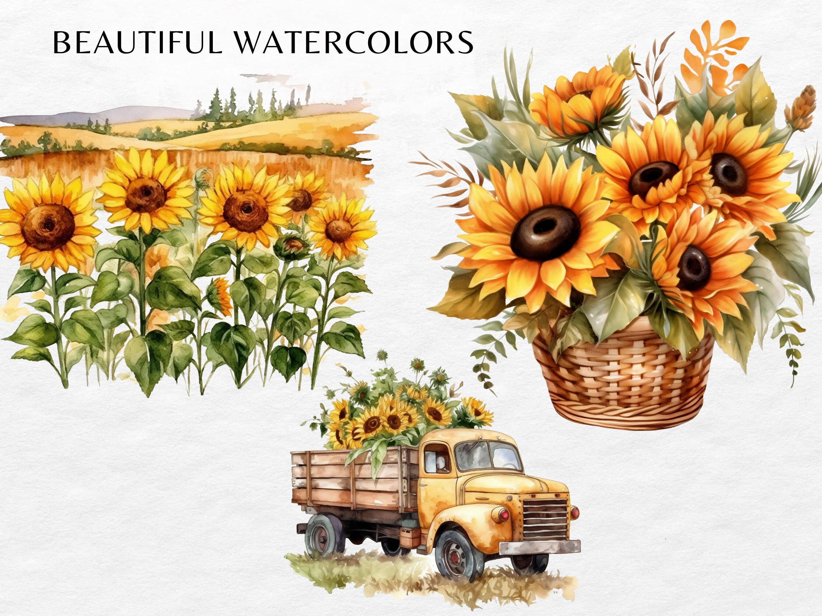 Sunflower Watercolor Clip Art Bundle PNG Floral Bouquets - Etsy