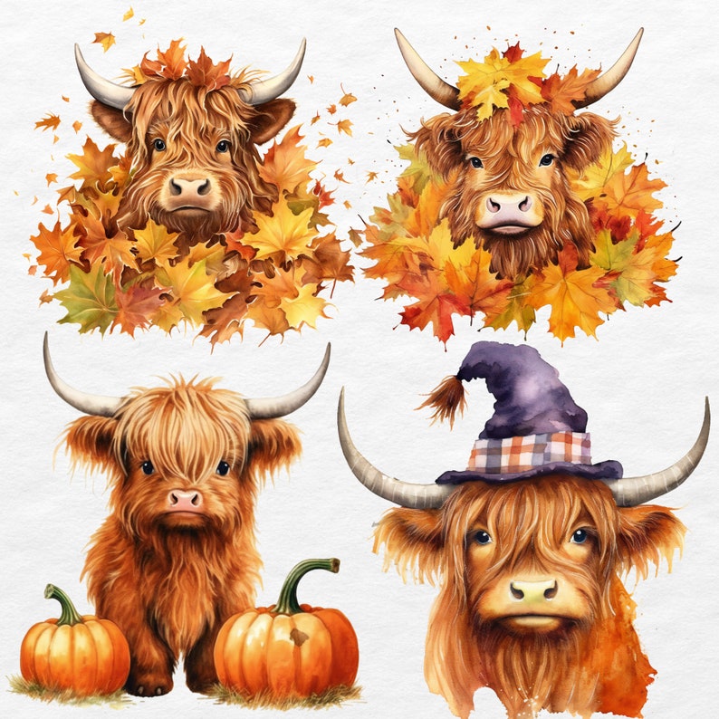 Fall Highland Cow Png Clipart Bundle Cute Baby Highland Cow - Etsy Canada