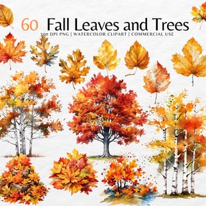 ClipArt di foglie e alberi autunnali/Foglie autunnali acquerello png/Autunno png, mucchio di foglie png, clipart foglia Autunno, Uso commerciale