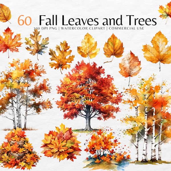 Fall Leaves and Trees ClipArt |Fall Leaves watercolor png | Fall png, pile of leaves png, leaf clipart Autumn, Commercial use